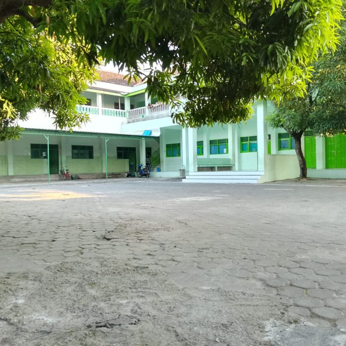 WhatsApp Image 2024-05-07 at 06.35.14