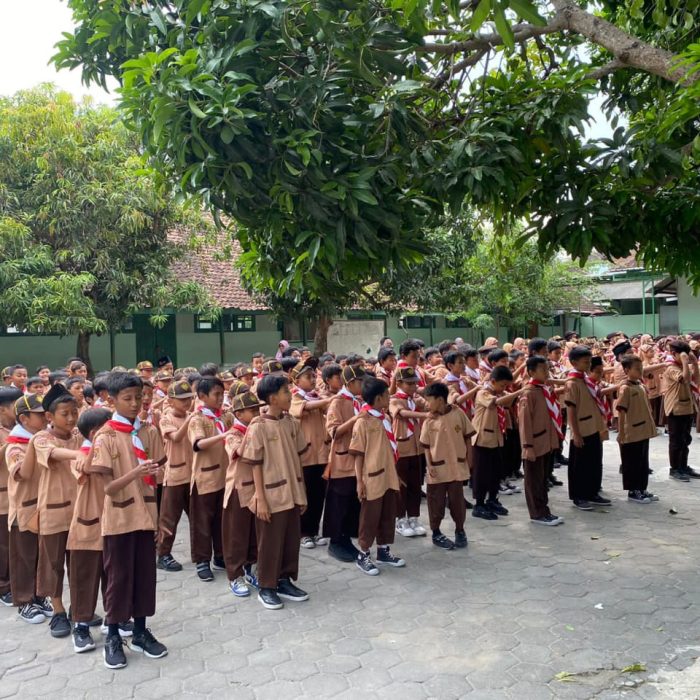 WhatsApp Image 2024-05-11 at 12.22.35